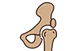 Hip & Joint Complex Icon