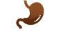 Digestion Complex Icon