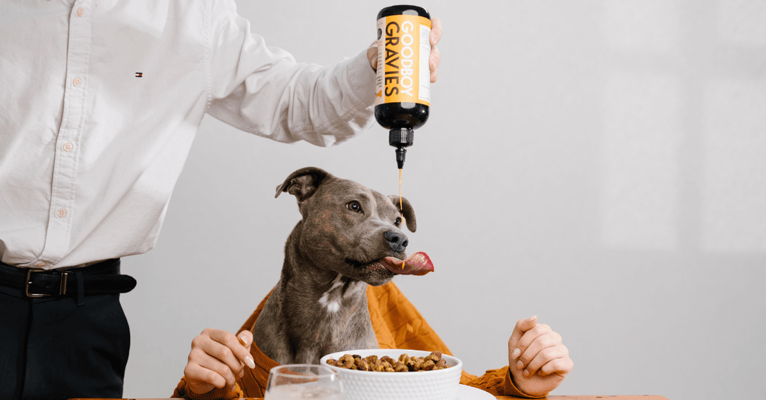 Dog with Goodboy Gravies
