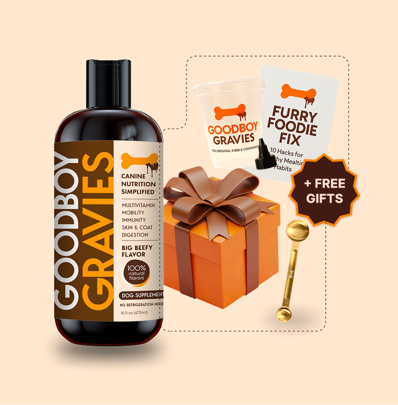 Goodboy Gravies - 1 Month Supply - Subscription