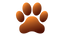 white-dog-paw