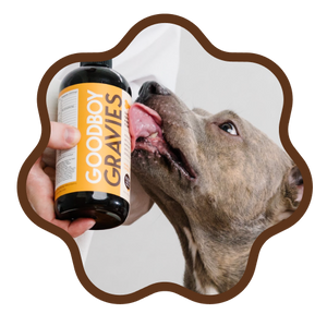 <p>Perfect for Dogs Who...</p>